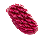 Curry Comb