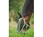 Fly Fringes Super Price