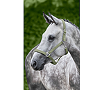 Headcollar Super Price ll