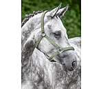 Headcollar Super Price ll