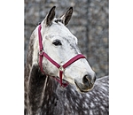 Headcollar Super Price ll