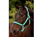 Headcollar Super Price ll