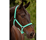 Headcollar Super Price ll