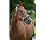 Headcollar Super Price ll