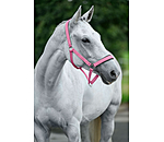 Headcollar Super Price ll