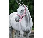 Headcollar Super Price ll