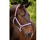 Headcollar Super Price ll