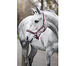 Headcollar Super Price ll