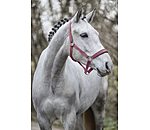 Headcollar Super Price ll