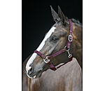 Headcollar Kate