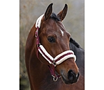 Headcollar Cosy