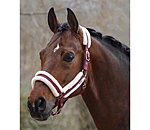 Headcollar Cosy