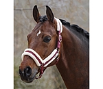 Headcollar Cosy