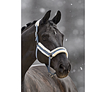 Headcollar Cosy