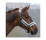 Headcollar Cosy