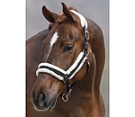 Headcollar Cosy