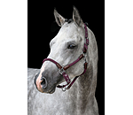 Headcollar Meghan