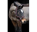 Headcollar Meghan