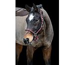 Headcollar Meghan