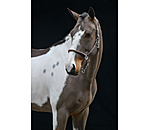 Headcollar Meghan