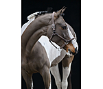 Headcollar Meghan