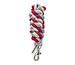 Shetland Pony and Foal Lead Rope Curly