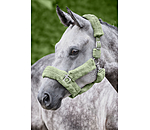 Teddy Fleece Headcollar Protection
