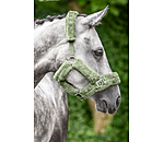 Teddy Fleece Headcollar Protection