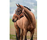 Teddy Fleece Headcollar Protection