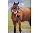 Teddy Fleece Headcollar Protection