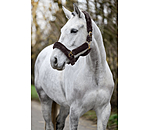 Teddy Fleece Headcollar Protection