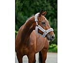 Teddy Fleece Headcollar Protection