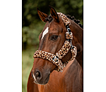 Teddy Fleece Headcollar Protection