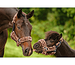 Teddy Fleece Headcollar Protection