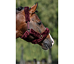 Teddy Fleece Headcollar Protection