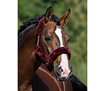 Teddy Fleece Headcollar Protection