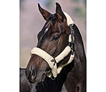 Teddy Fleece Headcollar Protection