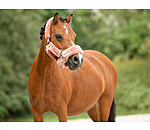 Teddy Fleece Headcollar Protection