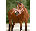 Teddy Fleece Headcollar Protection