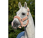Teddy Fleece Headcollar Protection