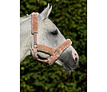 Teddy Fleece Headcollar Protection