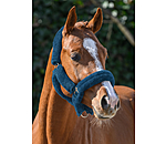 Teddy Fleece Headcollar Protection