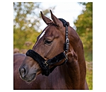 Teddy Fleece Headcollar Protection