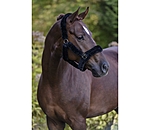 Teddy Fleece Headcollar Protection