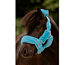 Teddy Fleece Headcollar Protection