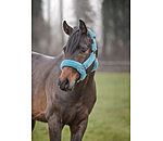 Teddy Fleece Headcollar Protection