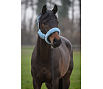 Teddy Fleece Headcollar Protection