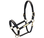 Leather Headcollar Engraver