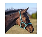 Foal Headcollar Darling