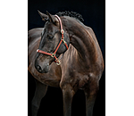 Leather Headcollar Siri